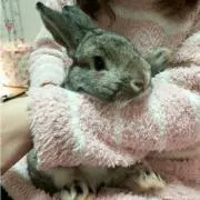 むく⭐︎プロフはご一読ください⭐︎