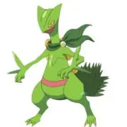 握り寿司の画像