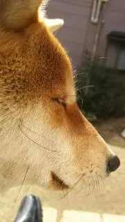 オーツテックワークス