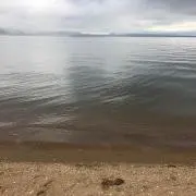 s.s