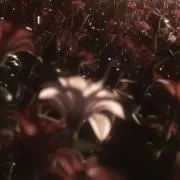 有馬⚠️プロフ一読下さいの画像