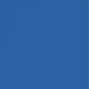 ︎手羽先の画像