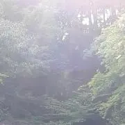 ぴぃ⭐︎プロフ必読ください⭐︎の画像