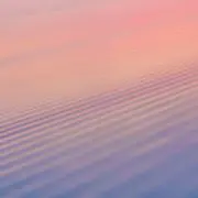 春芳堂の画像