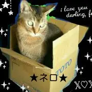 ★ネロ★　　　　　　　　　(=ºωº=)