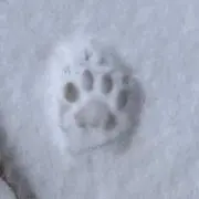27の画像