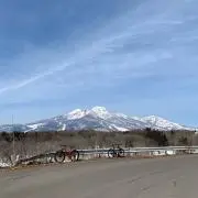マルの画像