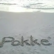 セール中！！Pokke⭐タトゥーシール⭐の画像