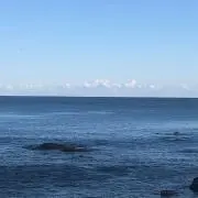 どんどん