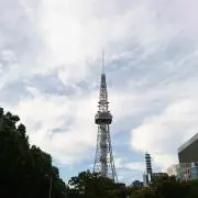 トカゲの画像