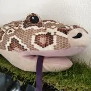 くりーむの画像