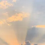 りり