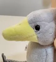 プニプーニの画像