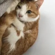 kurikoの画像