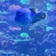 sun(多少なら値引き交渉ok)