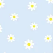 ma ◡̈⃝︎の画像