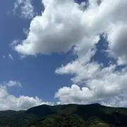 マチルダの画像