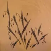 バンブーマンの画像