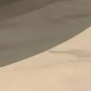 ◯の画像