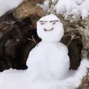 くいたんの画像