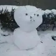 kinの画像