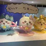 どんちゃんの画像