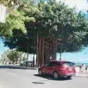emiの画像