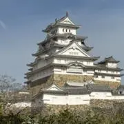 アビの画像