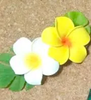 Mariaの画像