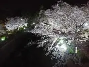 KG☆ingの画像