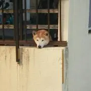 まー