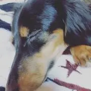 ココスマ