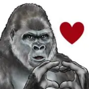 Gorillachampionの画像