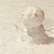 たらちゃんの画像