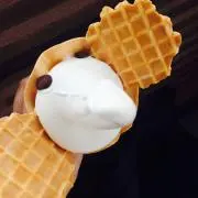 むむの画像