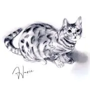 harieの画像