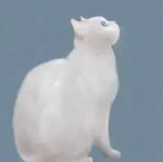 enisia ︎✿ （断捨離中）の画像