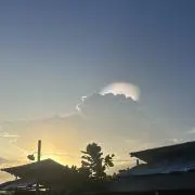 Yの画像