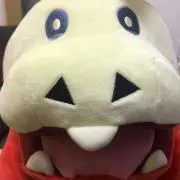 イヌの画像