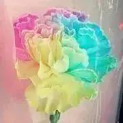 N♥︎