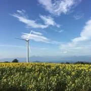 Yの画像