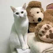 あ。プロフ読んで下さい。の画像