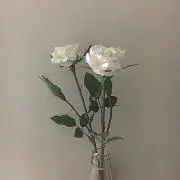 yuuの画像