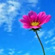 生産終了】ジバンシー プールドリアン100ml 巾着袋付き 美品 - メルカリ