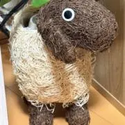 みゅんの画像