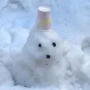 lolglup