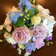 Kico  ☆プロフ必読☆