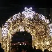 蘭の画像