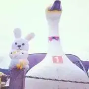 まるの画像