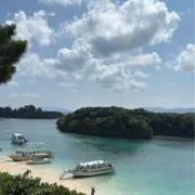 ありすの画像